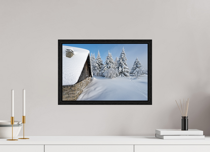 Hiver / Winter