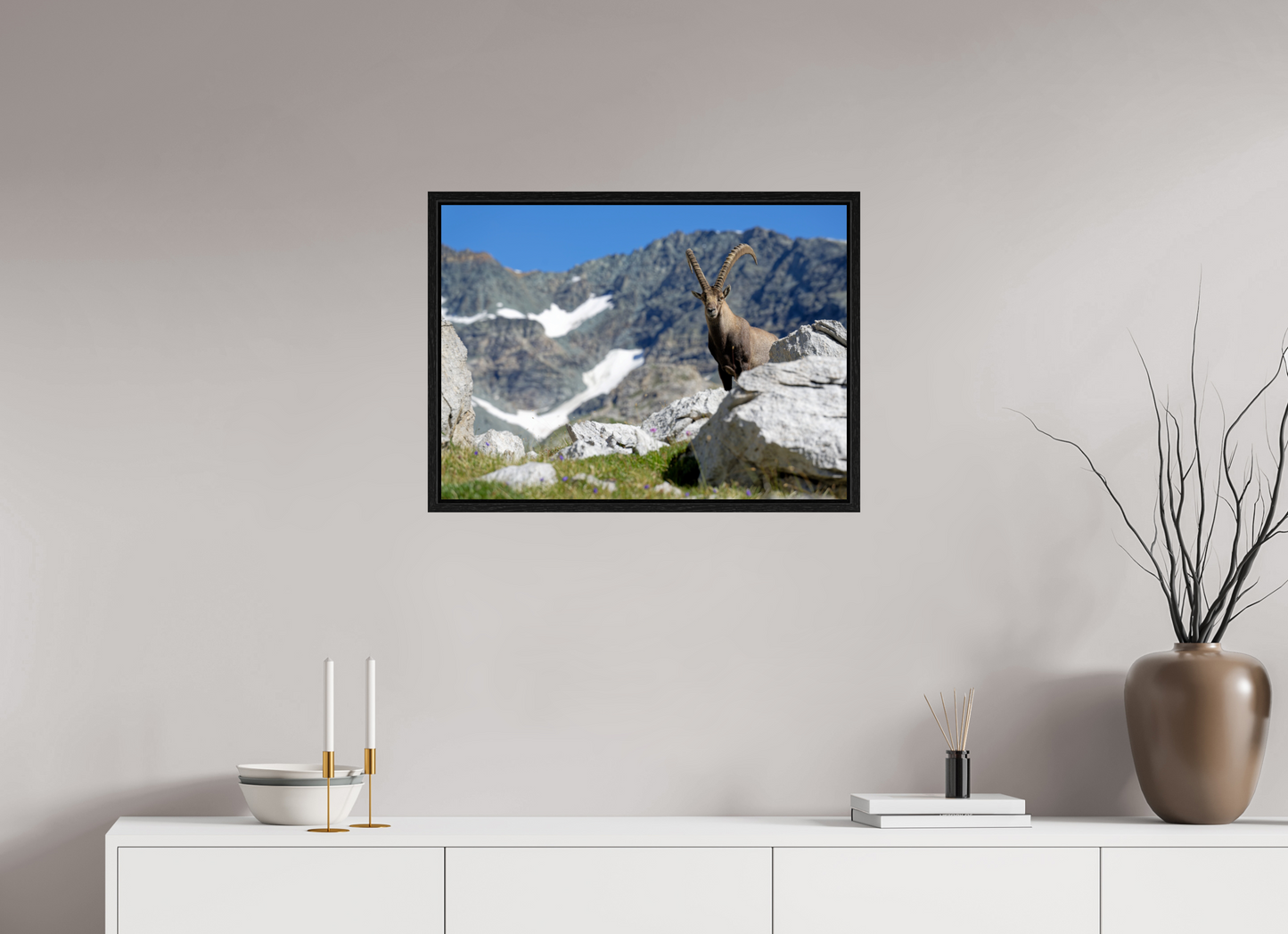 Bouquetin / Ibex