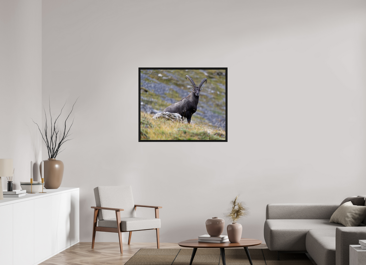 Bouquetin / Ibex