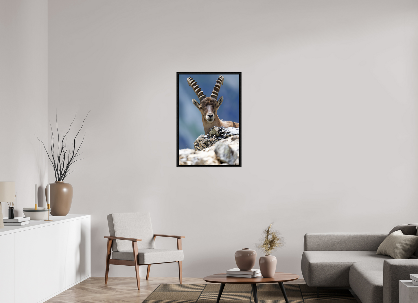 Bouquetin / Ibex