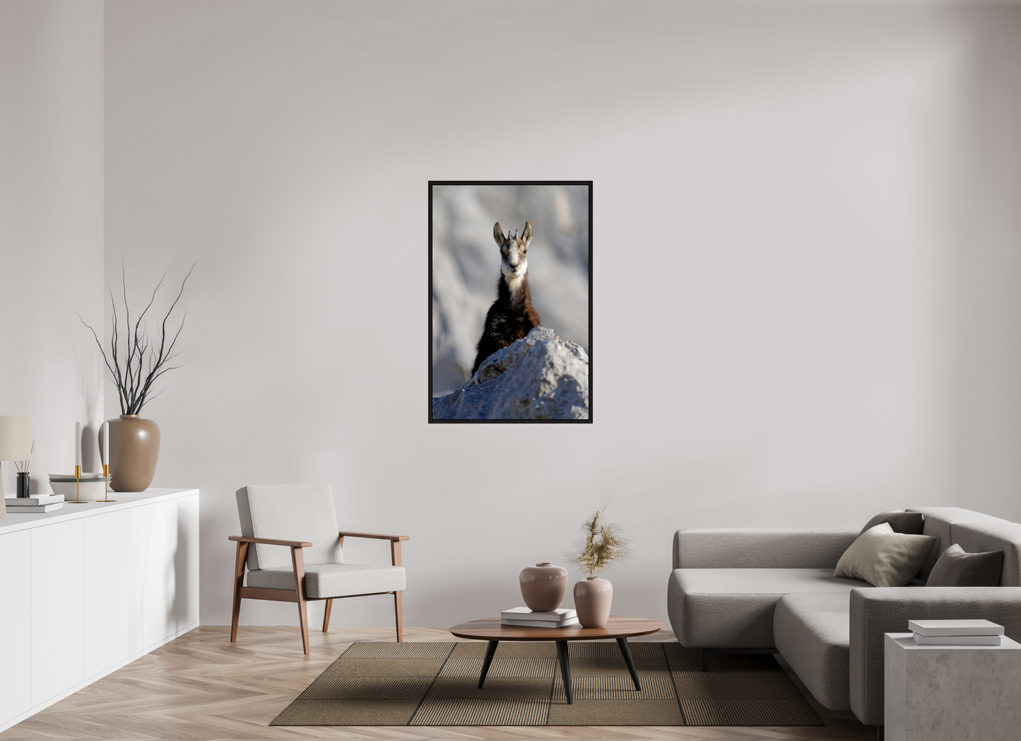 Chamois