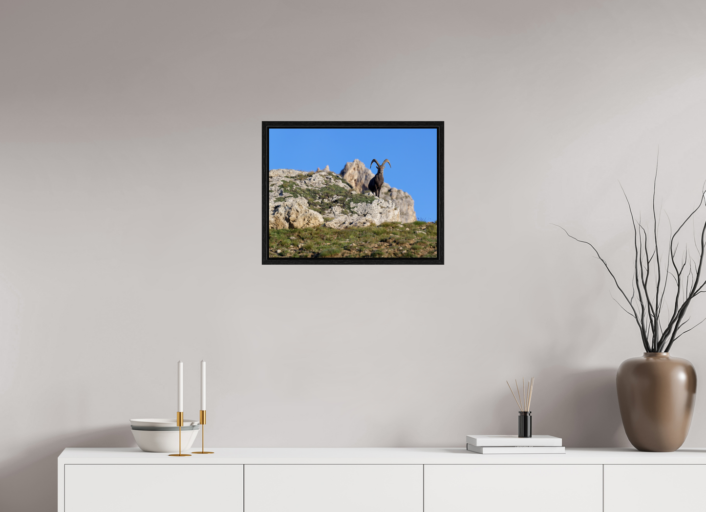 Bouquetin / Ibex