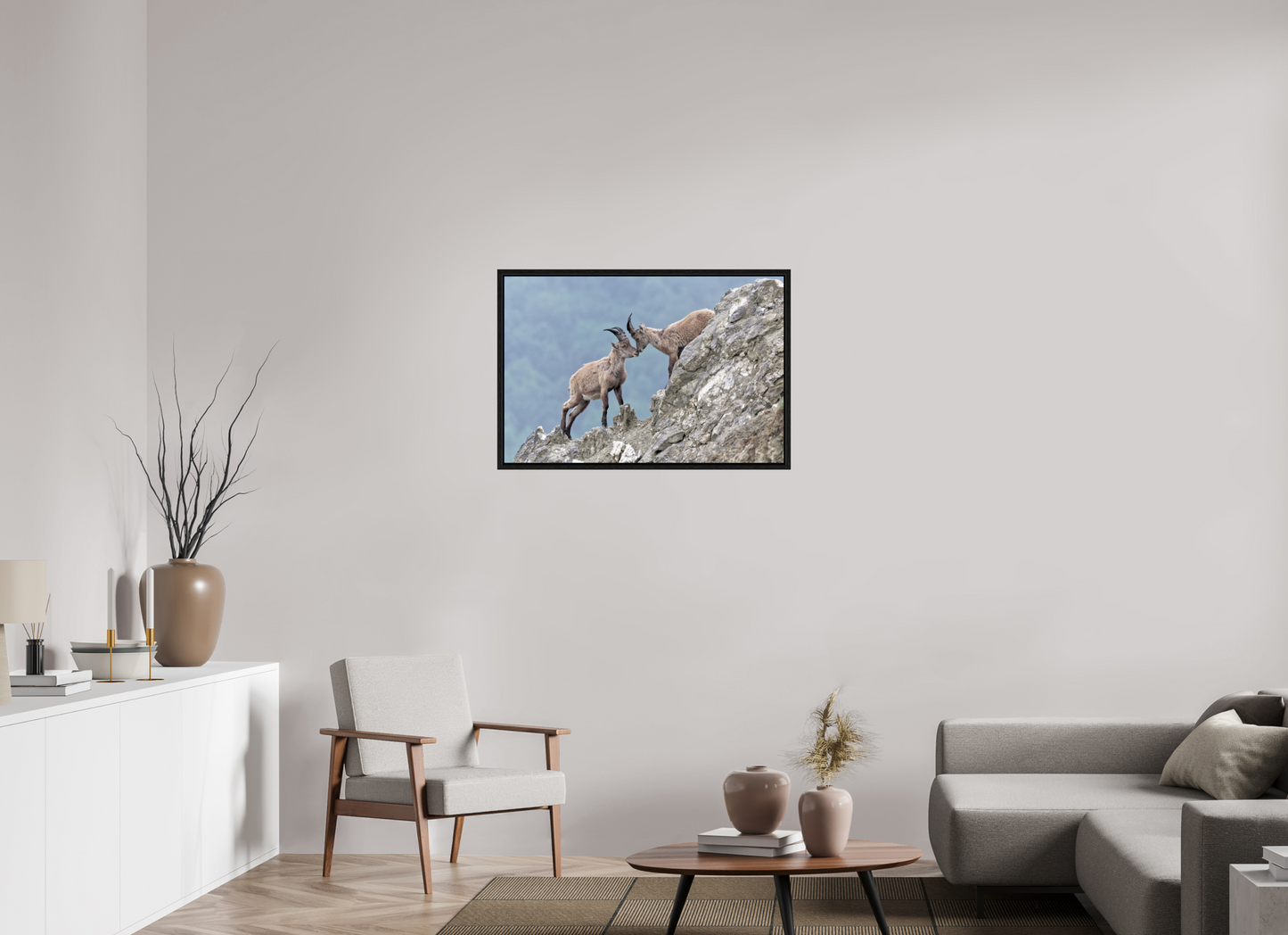 Bouquetin / Ibex