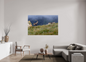 Bouquetin / Ibex