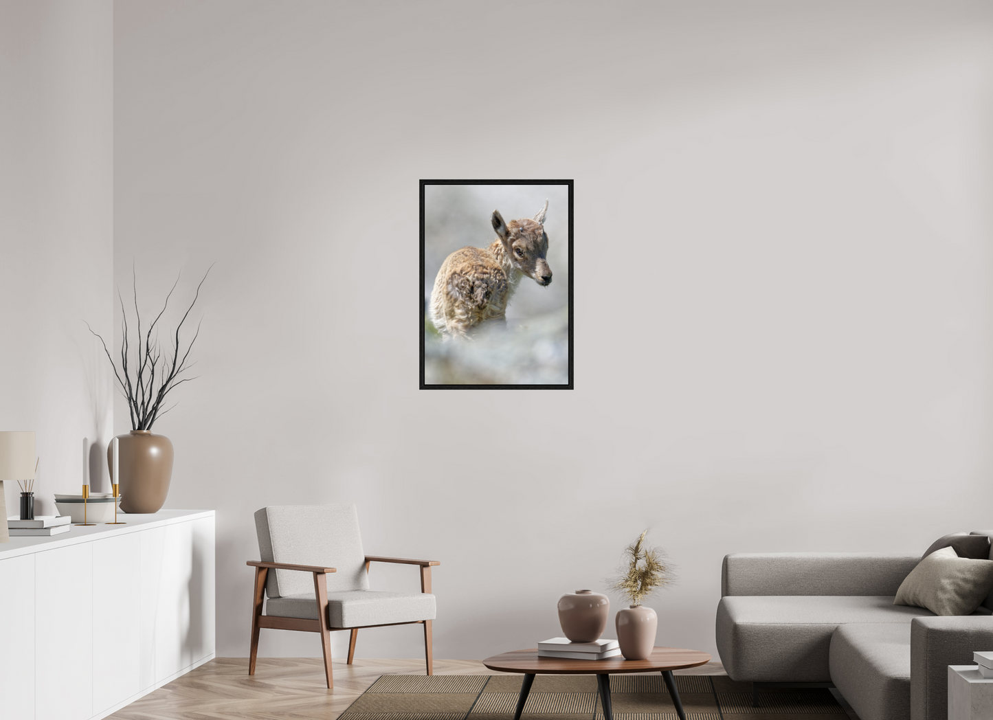 Bouquetin / Ibex