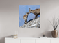 Bouquetin / Ibex