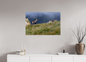 Bouquetin / Ibex