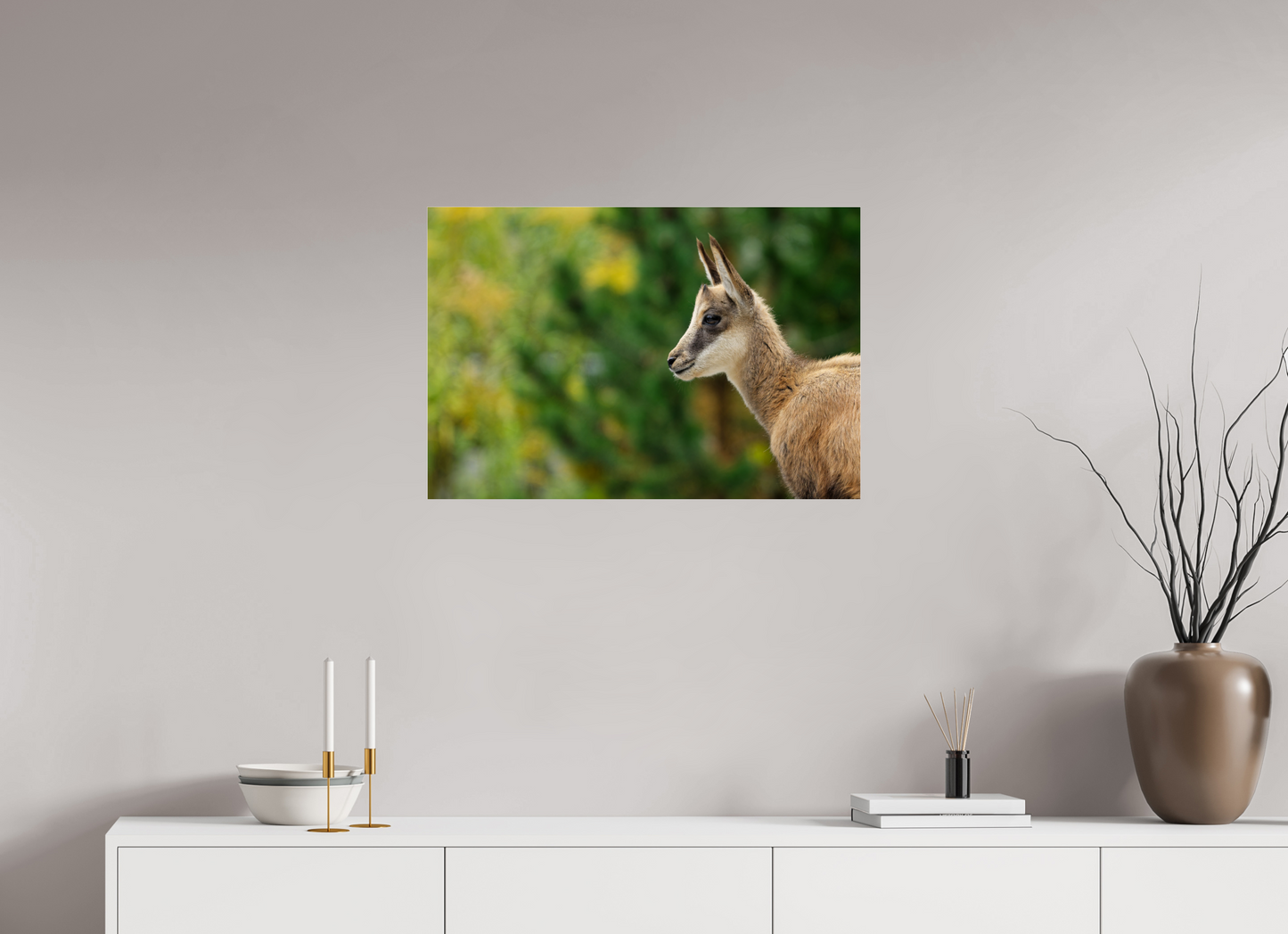 Chamois