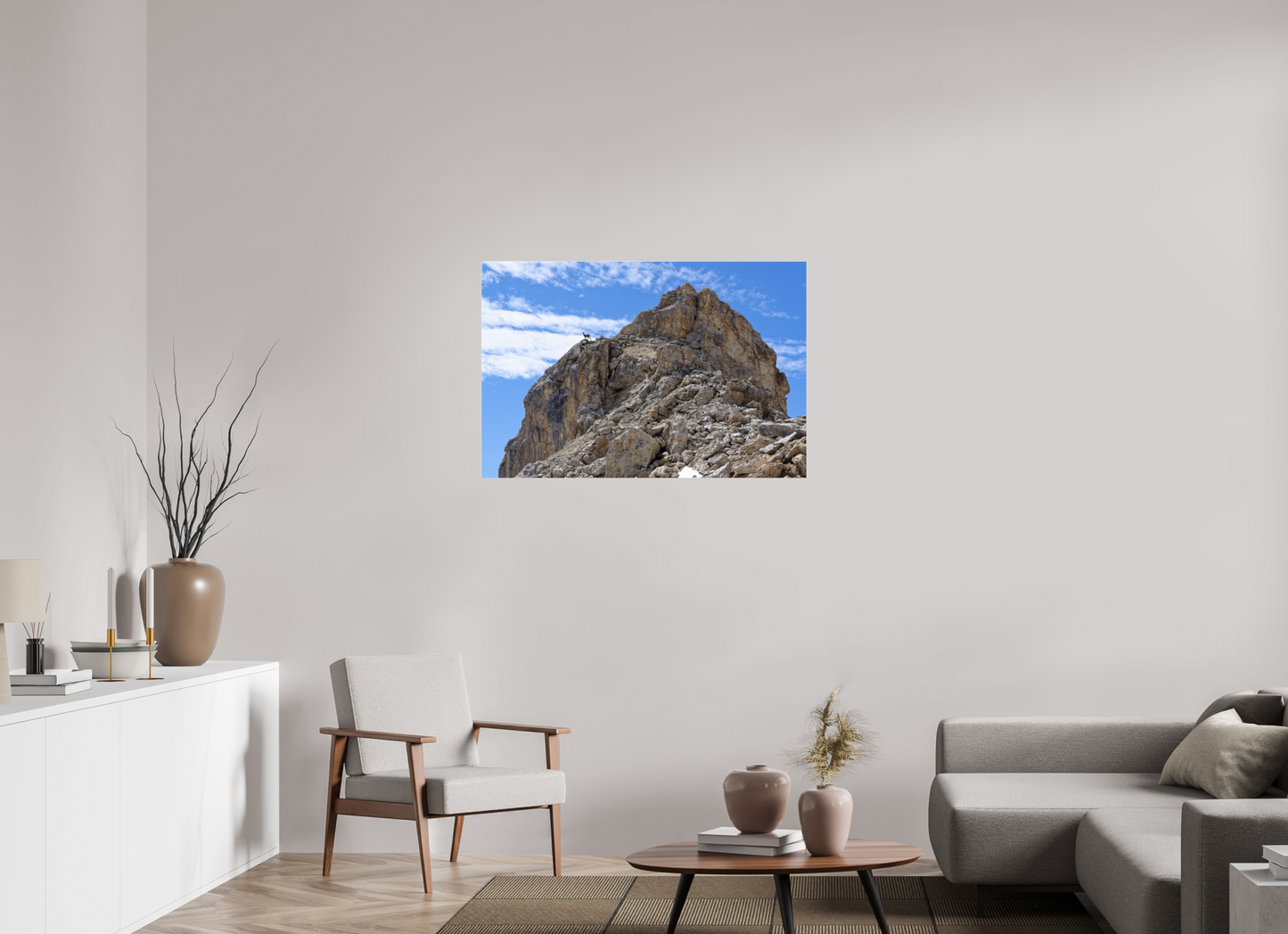 Bouquetin / Ibex