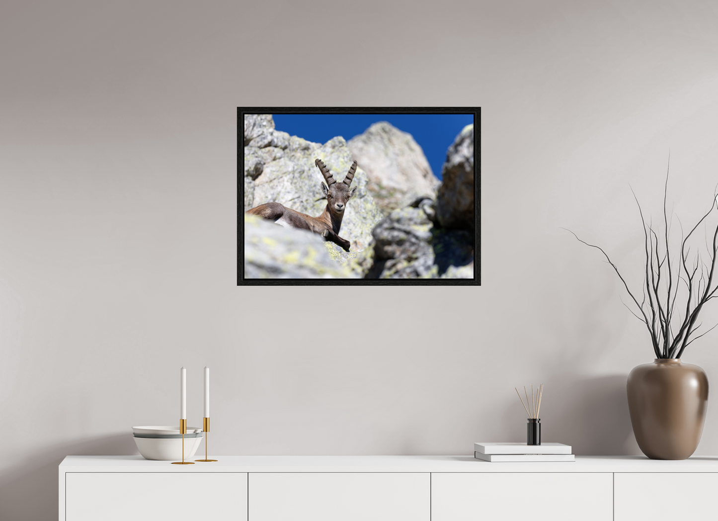 Bouquetin / Ibex