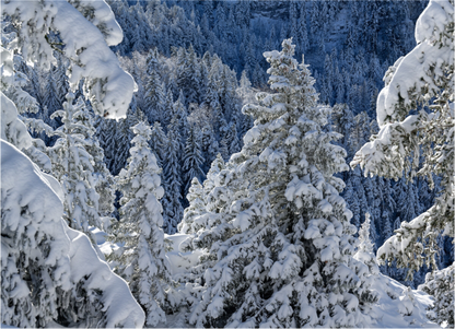 Hiver / Winter