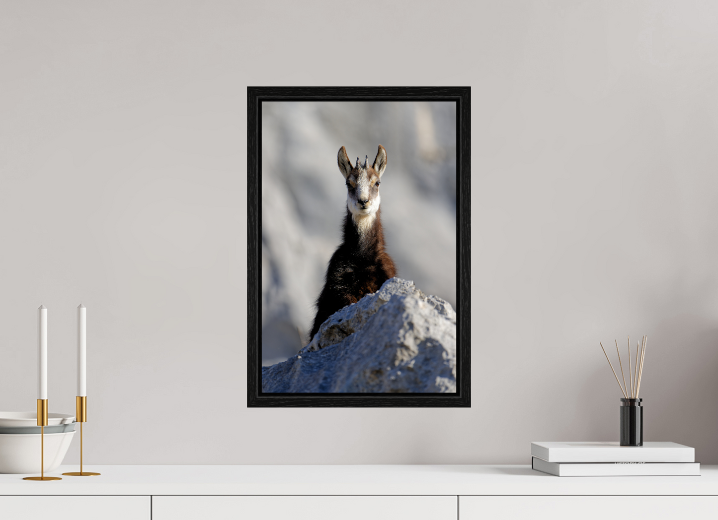 Chamois