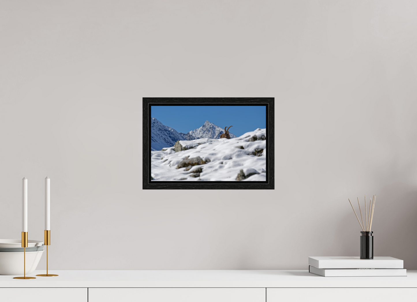 Bouquetin / Ibex