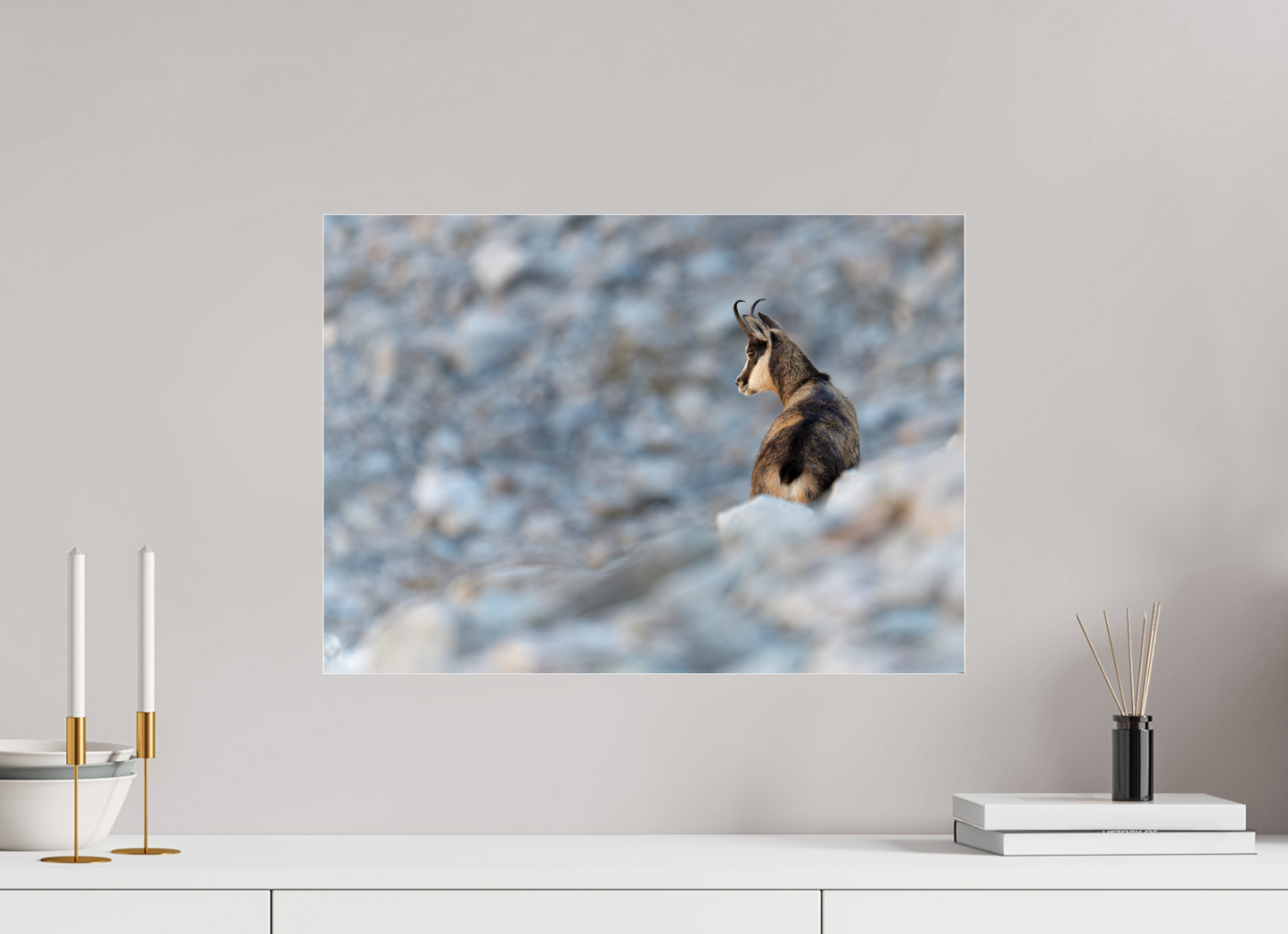 Chamois