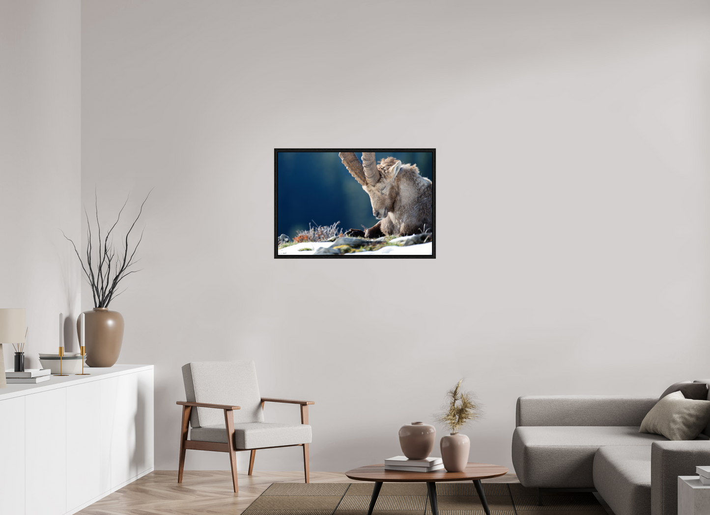 Bouquetin / Ibex