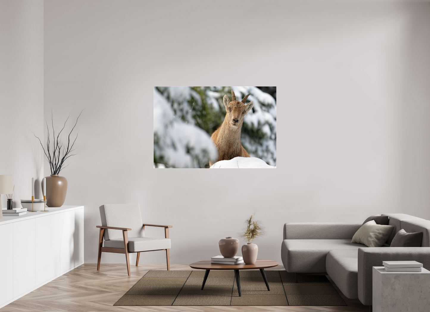 Bouquetin / Ibex