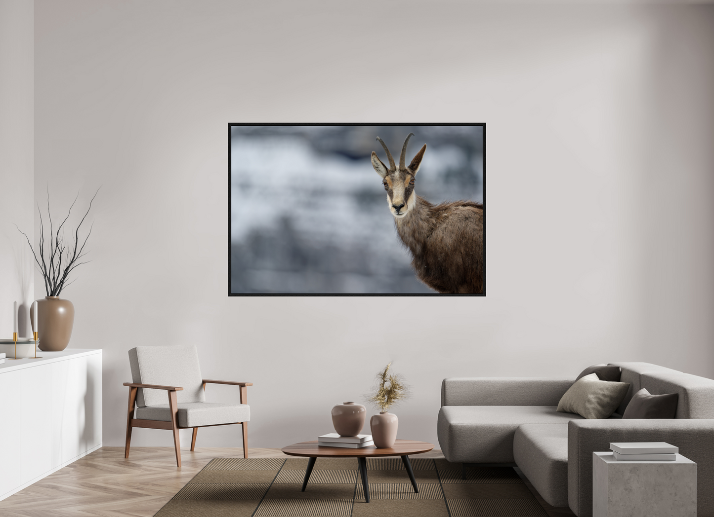 Chamois