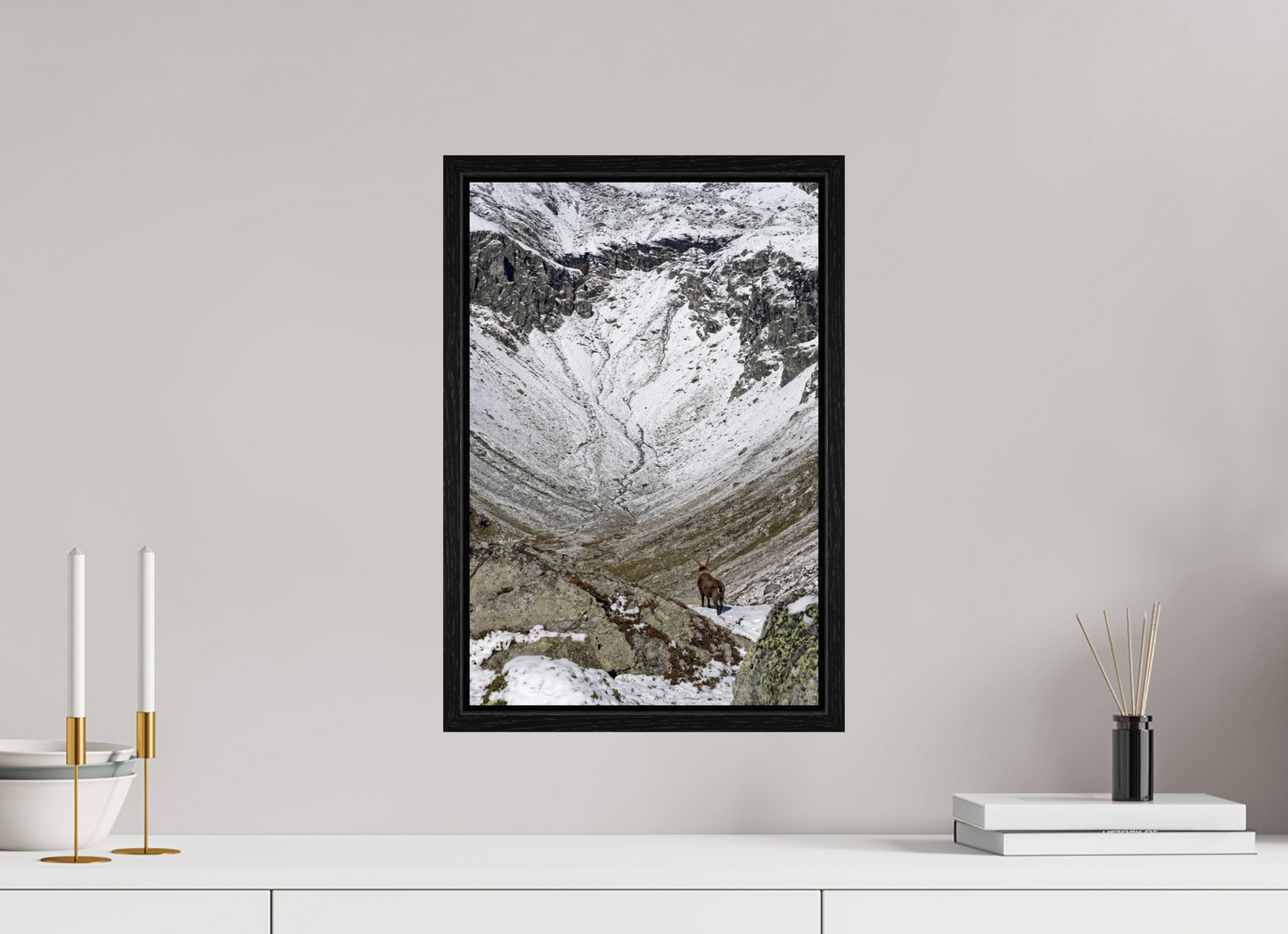 Bouquetin / Ibex