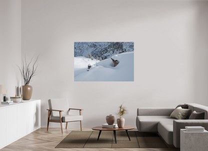 Hiver / Winter