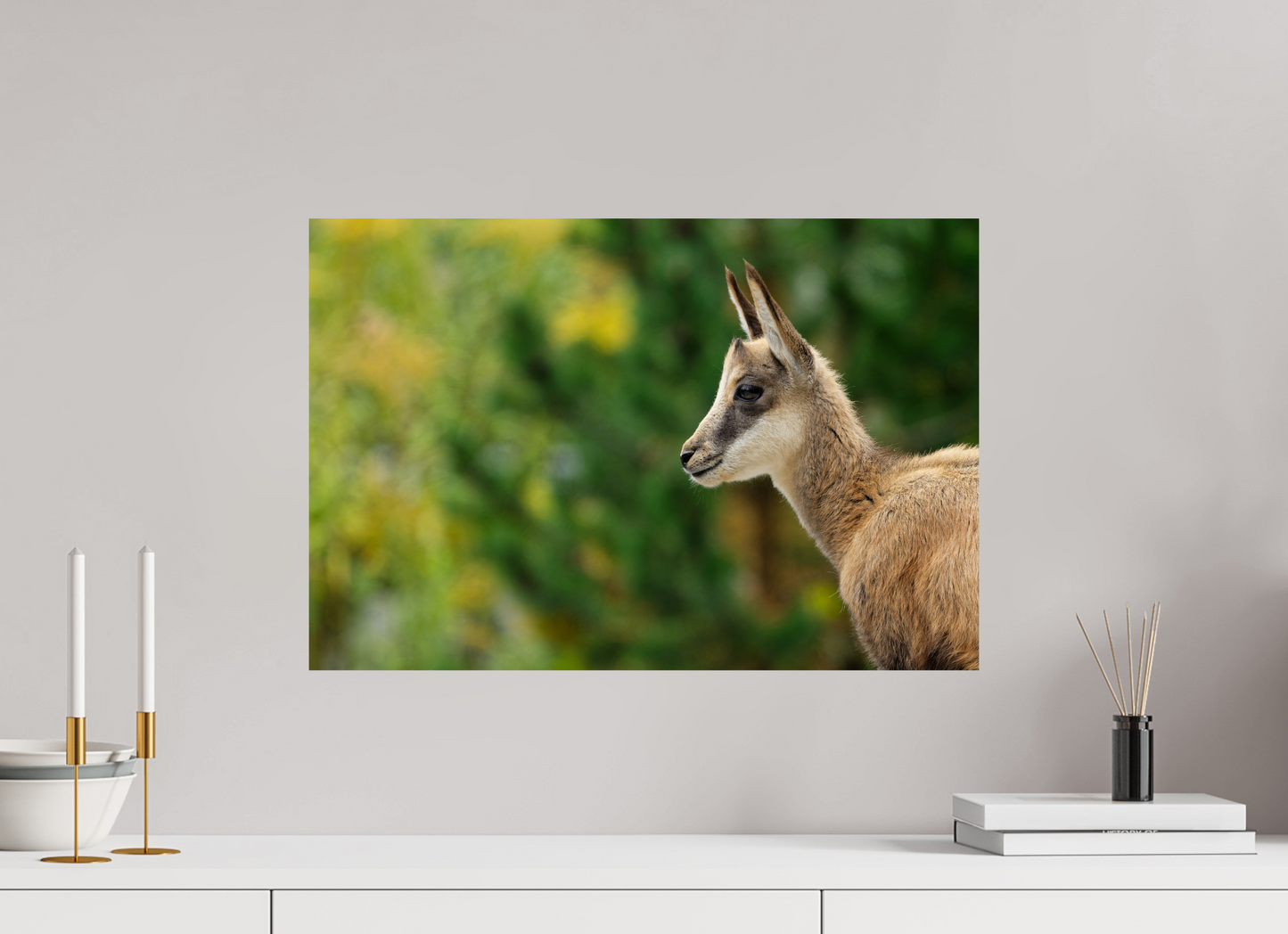 Chamois