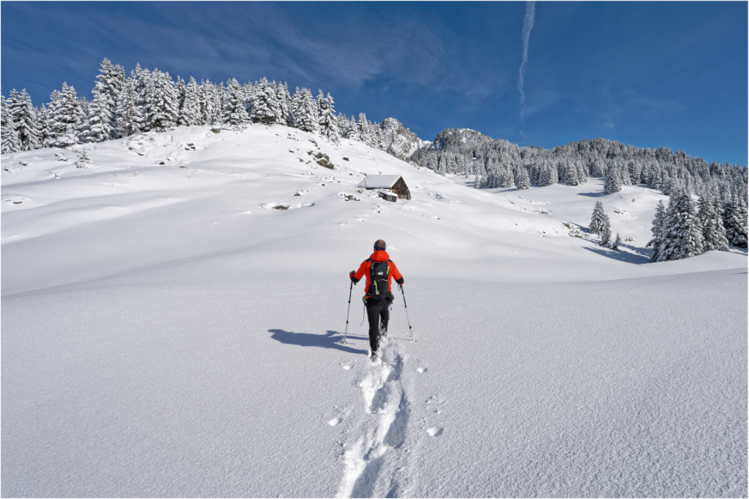 Hiver / Winter