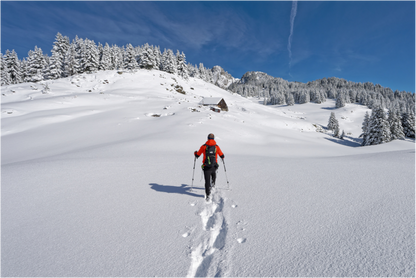 Hiver / Winter