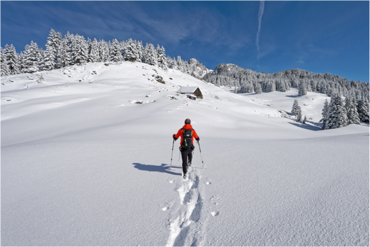 Hiver / Winter