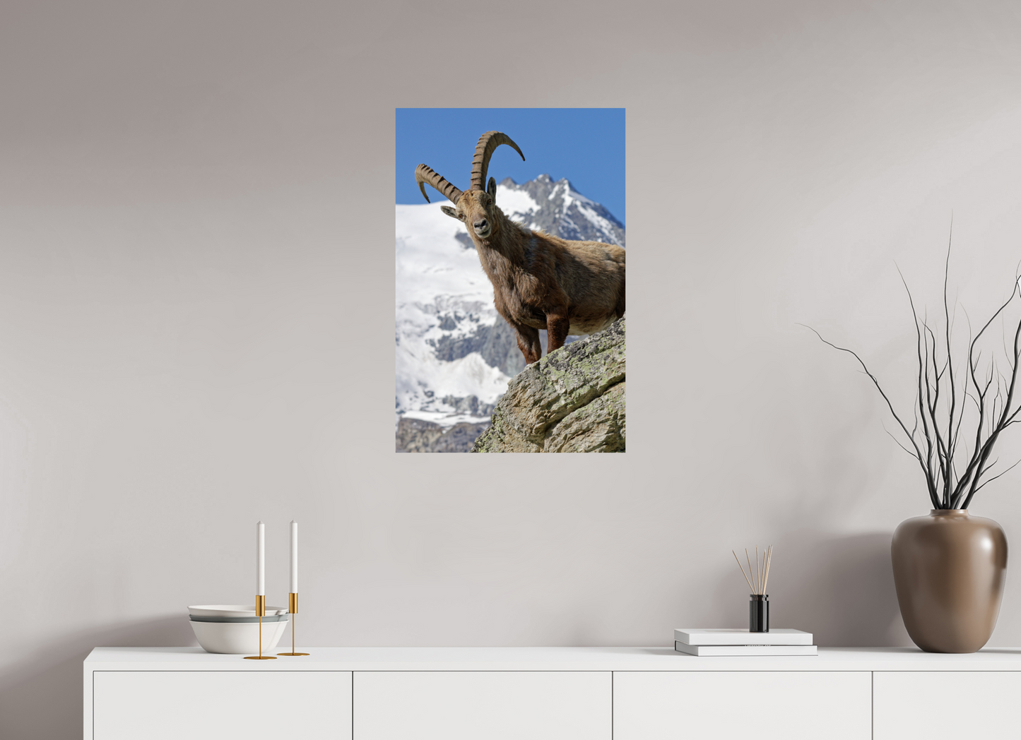 Bouquetin / Ibex