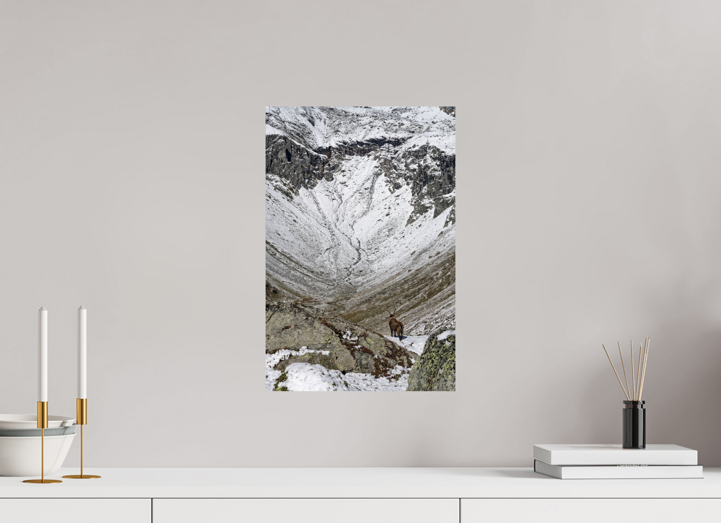Bouquetin / Ibex