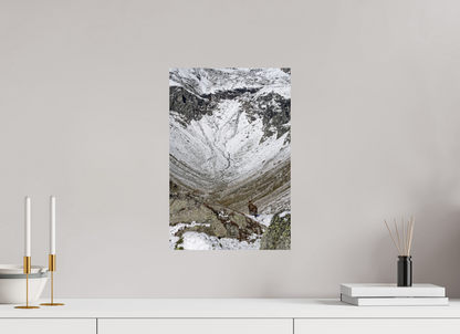 Bouquetin / Ibex