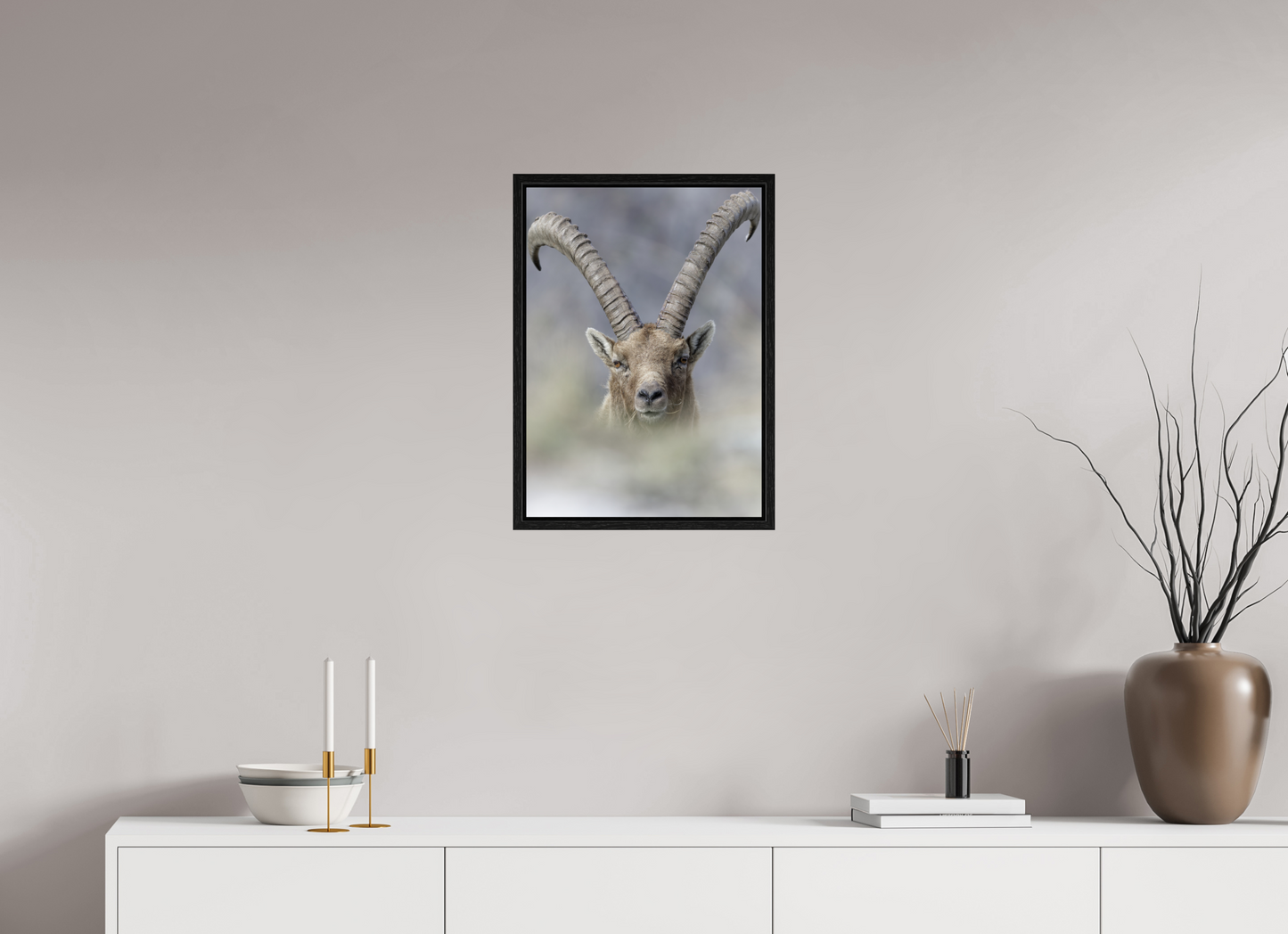 Bouquetin / Ibex