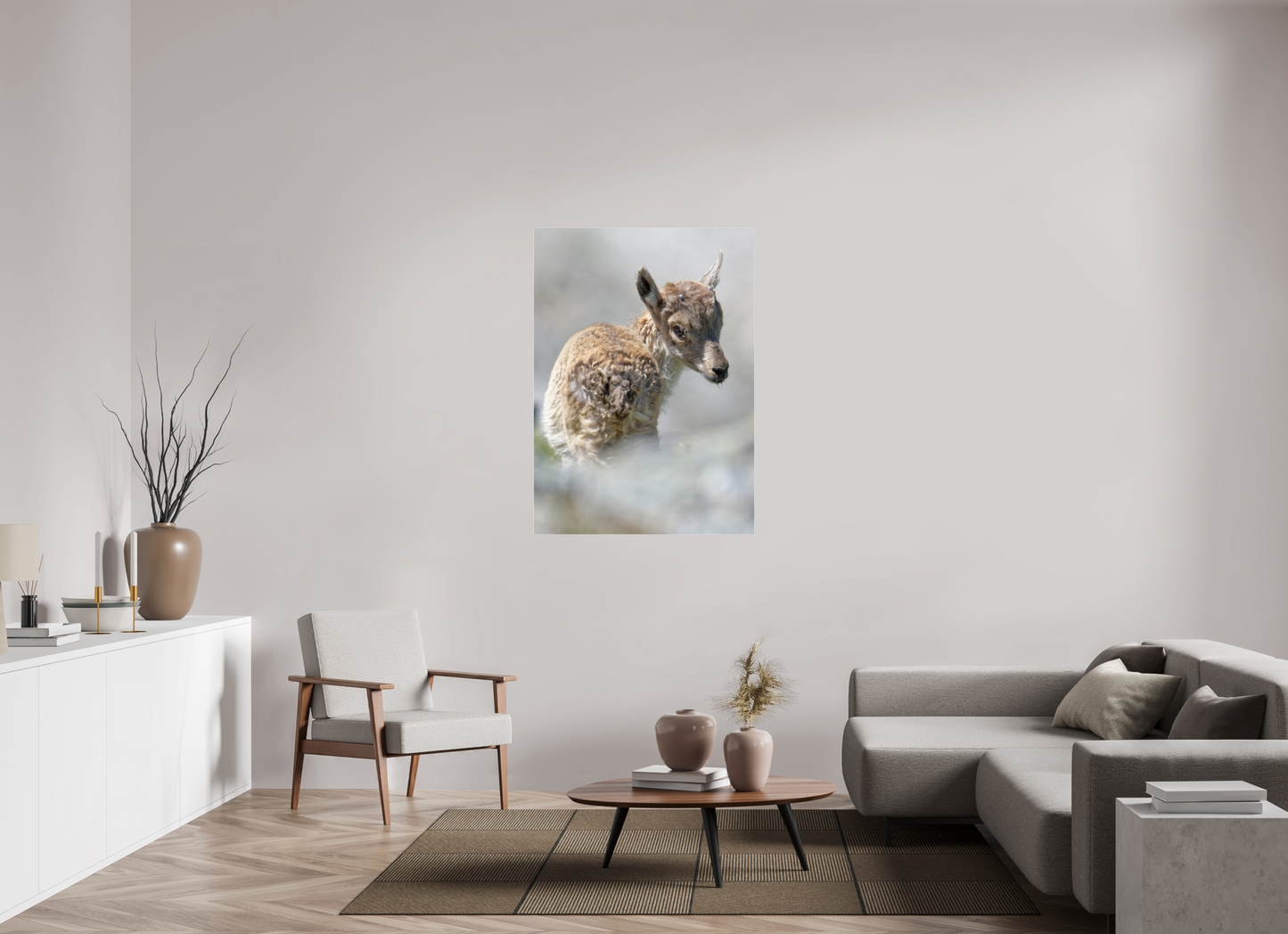 Bouquetin / Ibex
