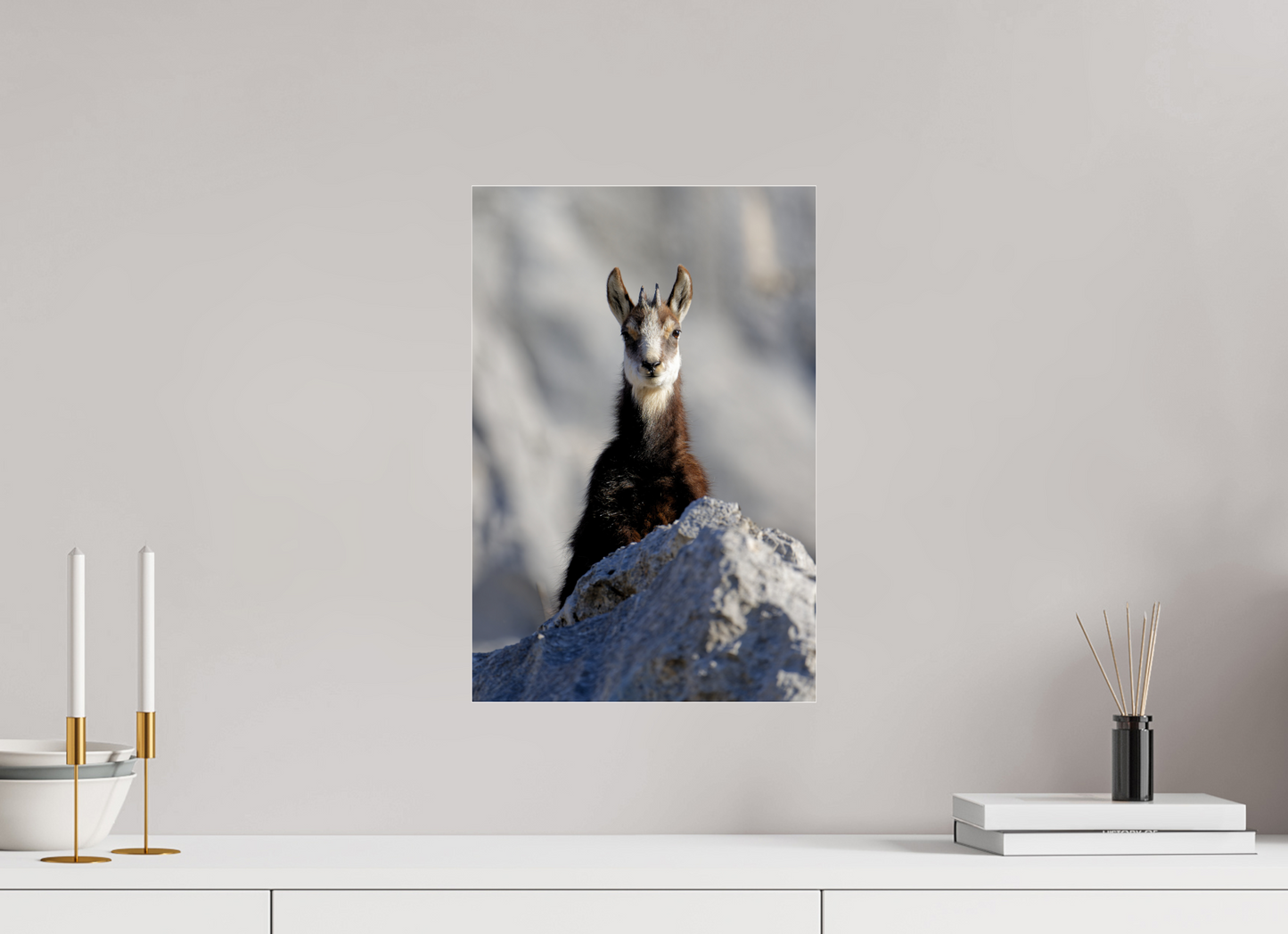 Chamois