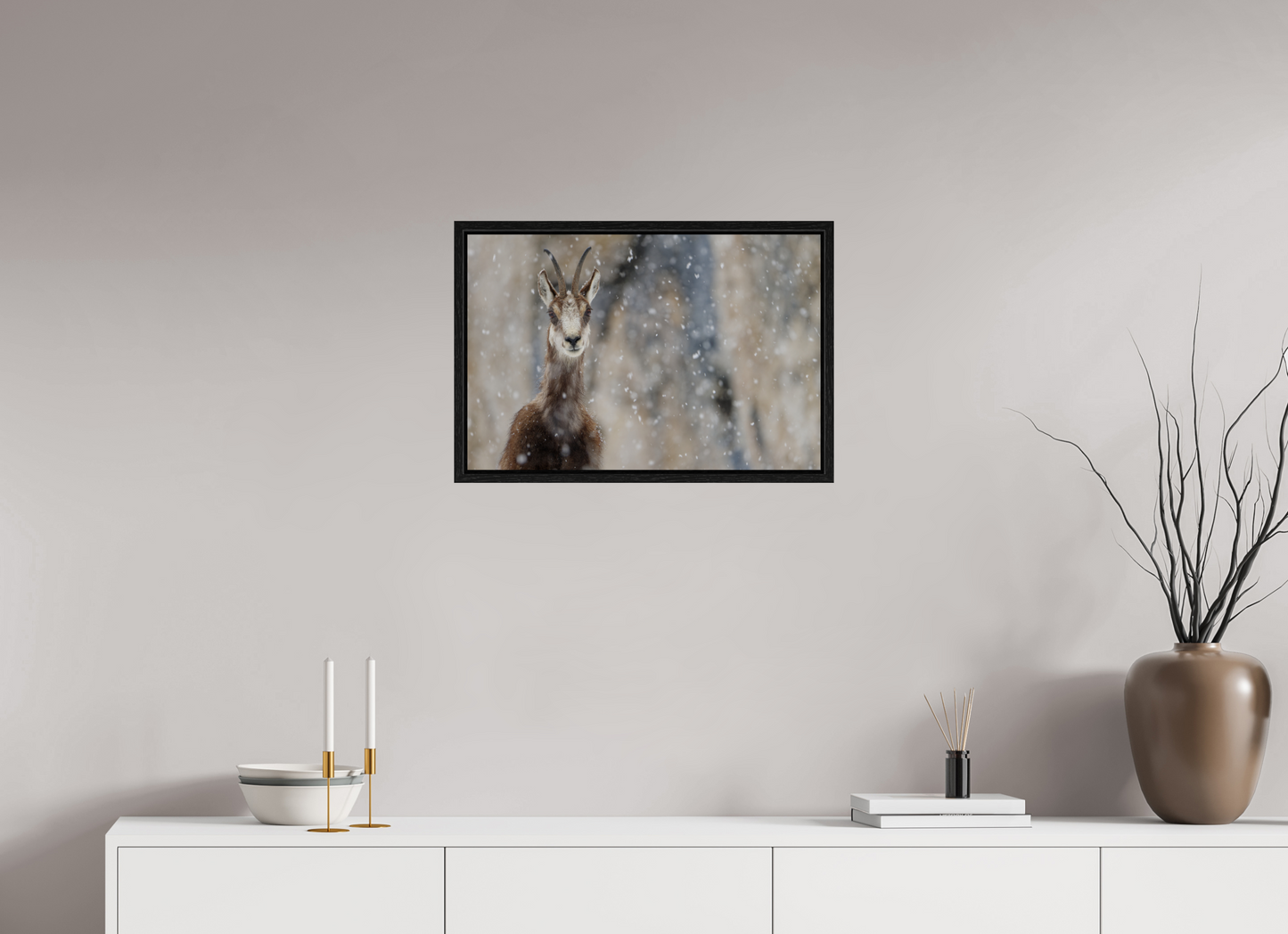Chamois