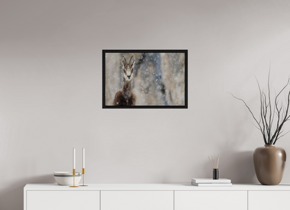 Chamois