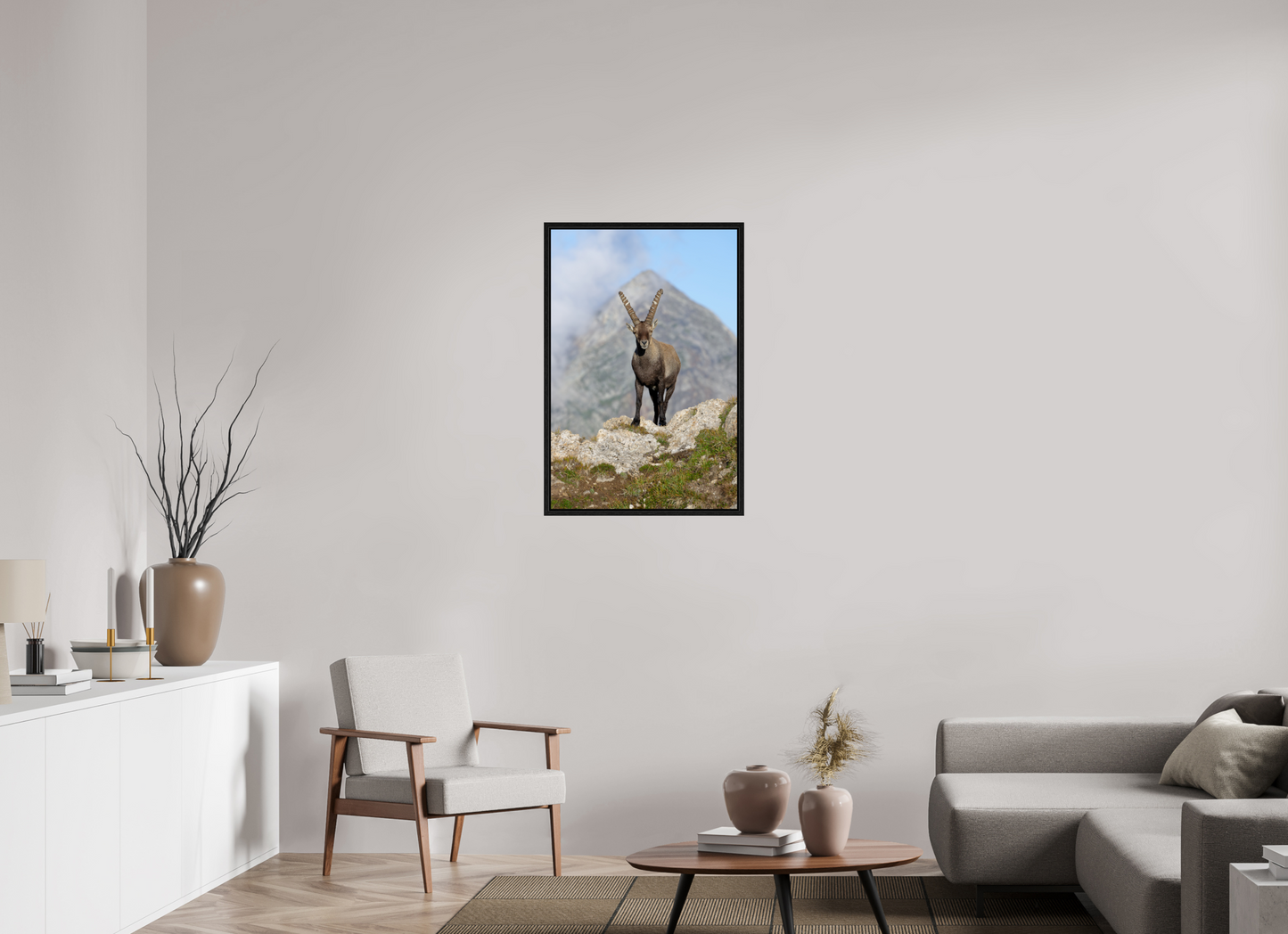 Bouquetin / Ibex