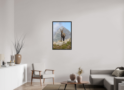 Bouquetin / Ibex