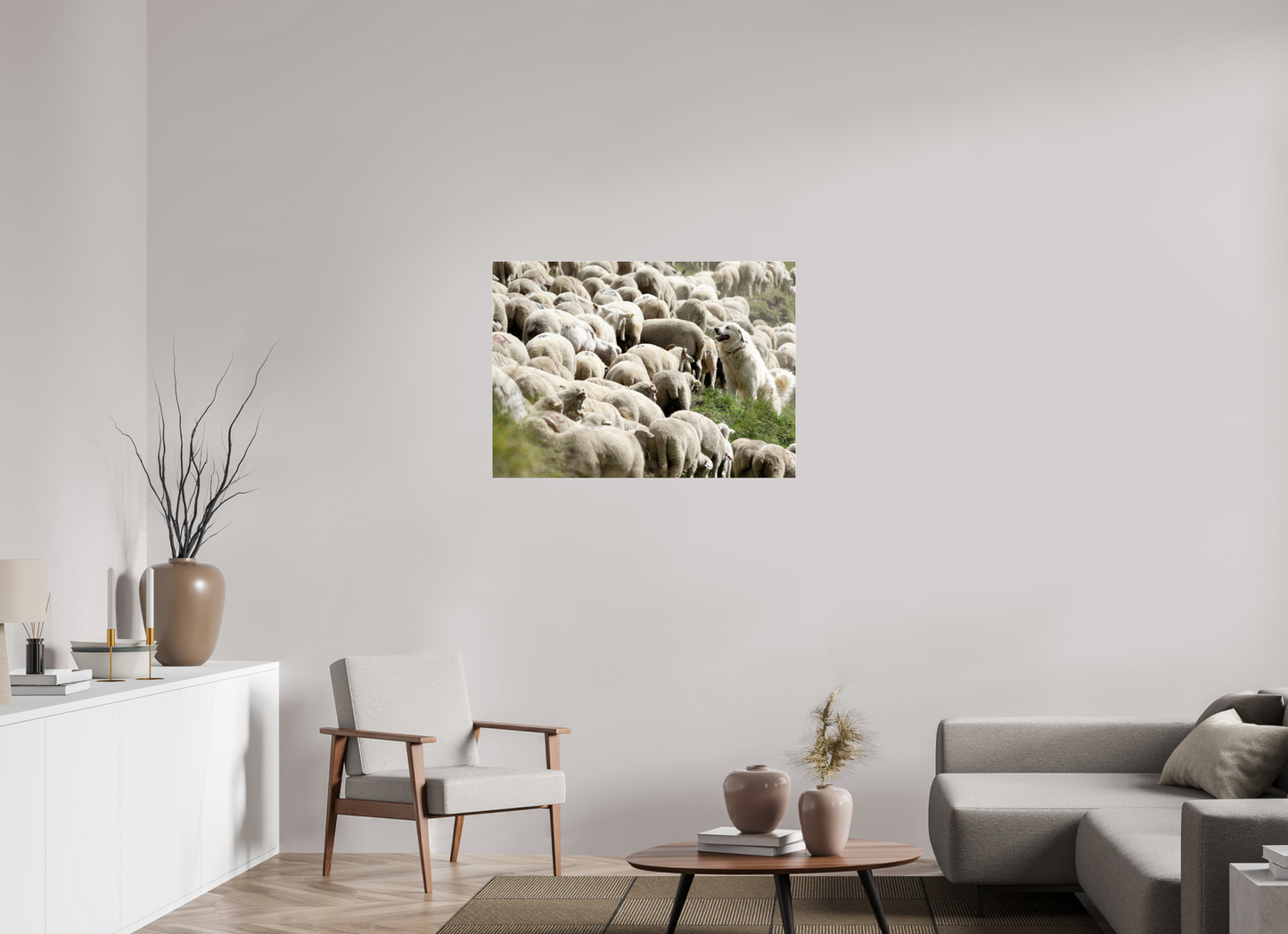 Autres animaux / Other animals