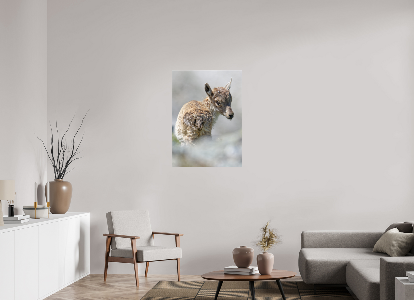 Bouquetin / Ibex