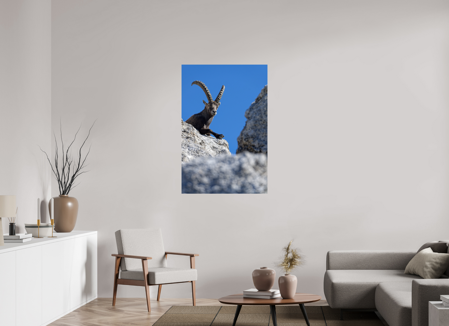 Bouquetin / Ibex