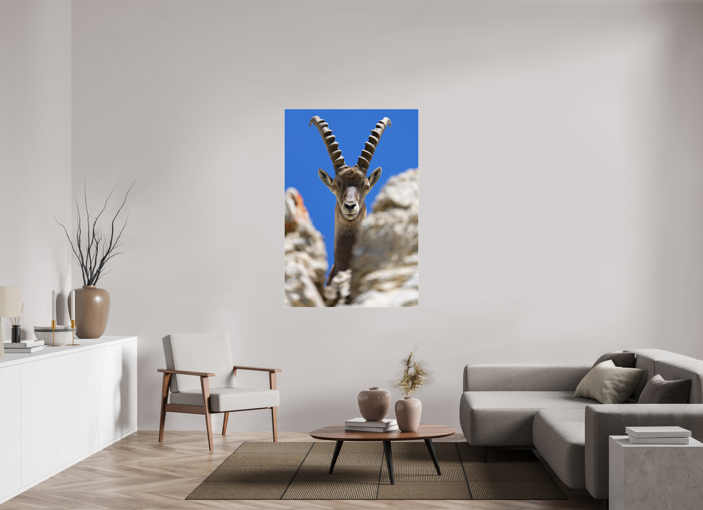Bouquetin / Ibex