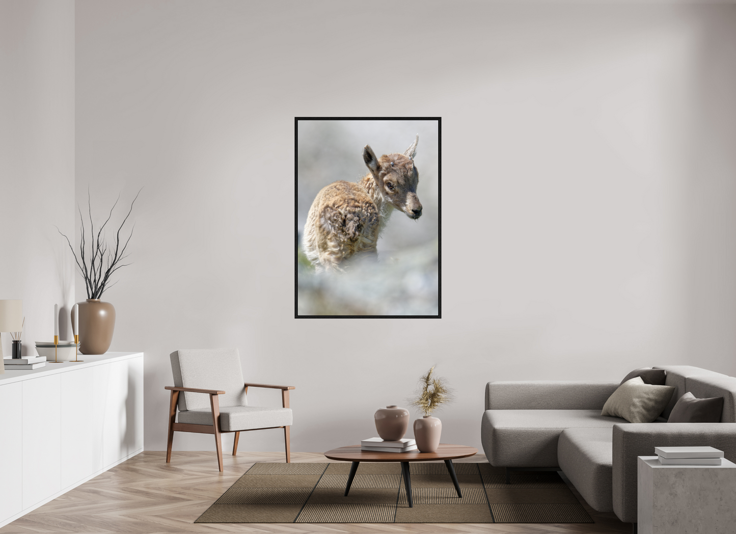 Bouquetin / Ibex