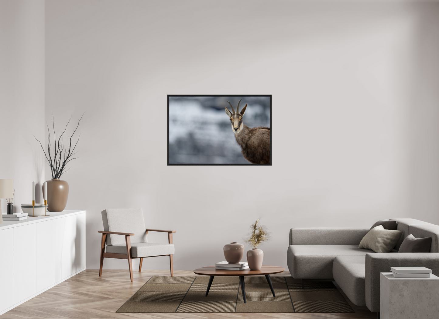 Chamois