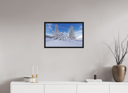 Hiver / Winter