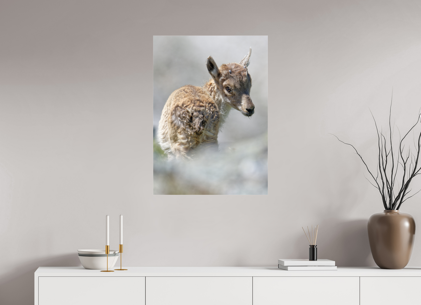 Bouquetin / Ibex