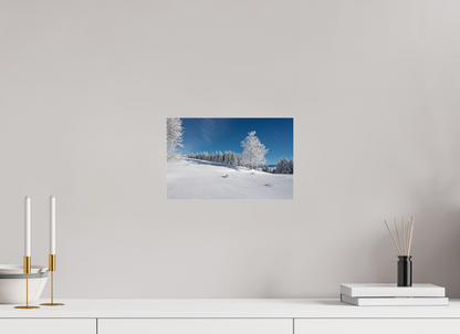 Hiver / Winter