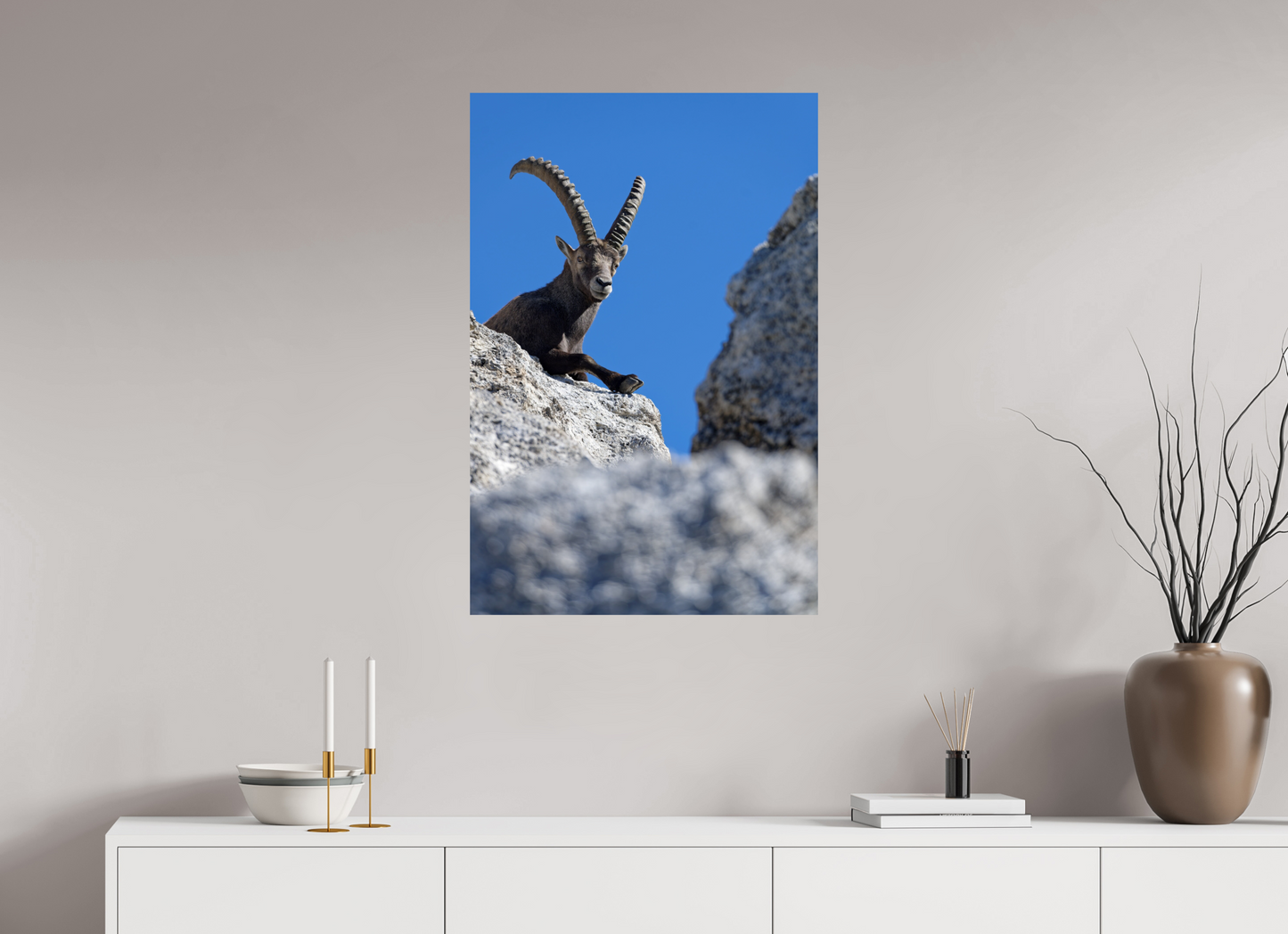 Bouquetin / Ibex