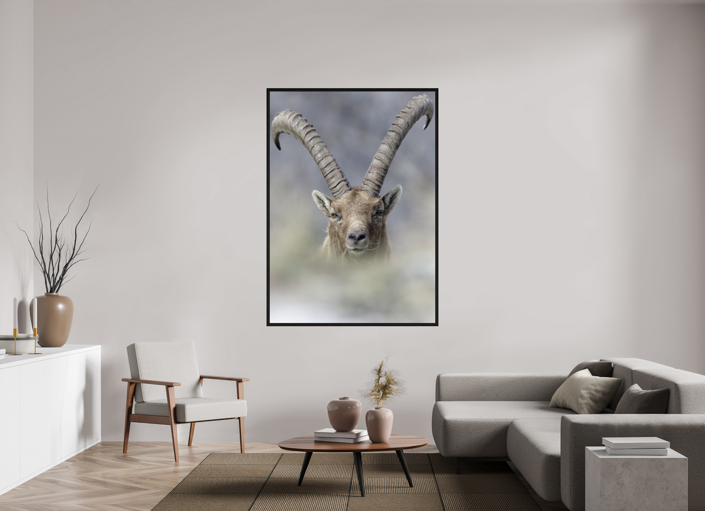 Bouquetin / Ibex