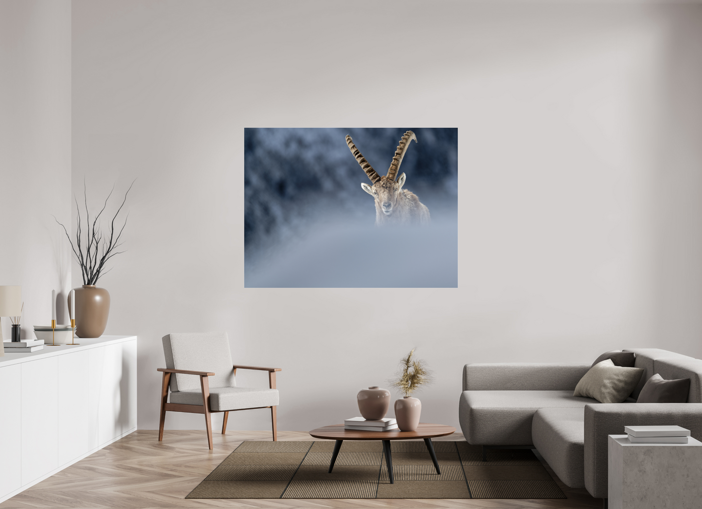 Bouquetin / Ibex
