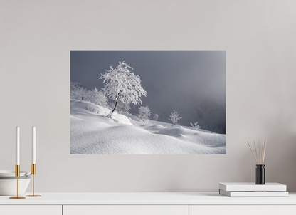 Hiver / Winter